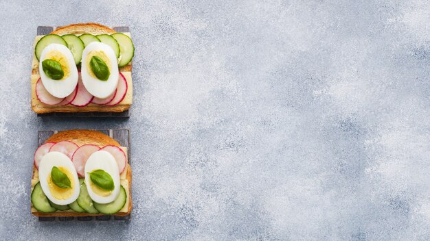 Sandwiches au fromage d'oeuf, concombre frais et radis.