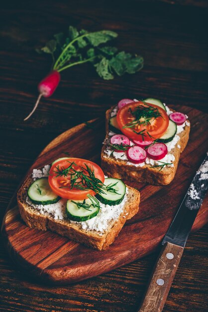 Sandwichs végétariens aux légumes frais