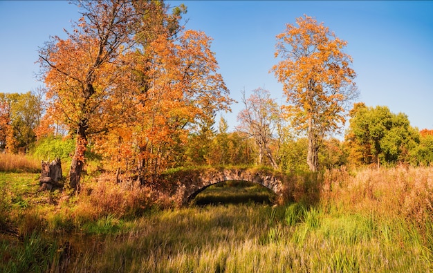 Sanny vue panoramique sur le parc Demidovsky en automne et le vieux pont de pierre dans le village de Taitsy, Russie.