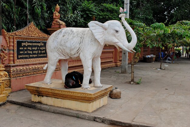 Un sans-abri dort sous une sculpture d'éléphant près de l'entrée d'un temple bouddhiste