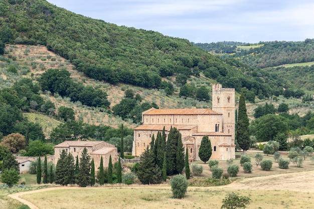 Sant Antimo Abbazia di Sant'Antimo, cyprès autour de Castelnuovo dell'Abate, Toscane, Italie
