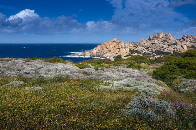 Photo santa teresa di gallura sardinie italie autres états membres