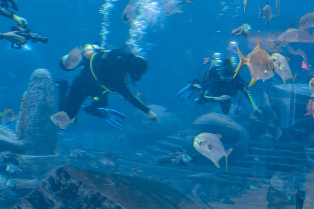 Sanya, Hainan, Chine - 19 janvier 2020 : Photographes sous-marins en plongée avec dans l'immense aquarium. Plongeurs avec caméra entourés d'un grand nombre de poissons. Sanya, Hainan, Chine.