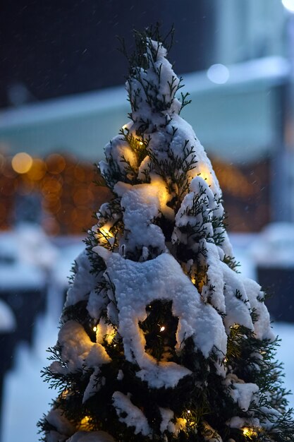 Sapin de Noël ampoules incandescentes sous la neige