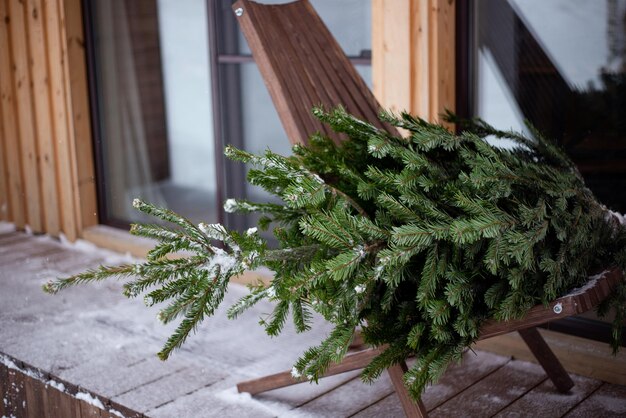 Photo sapin de noël devant la maison