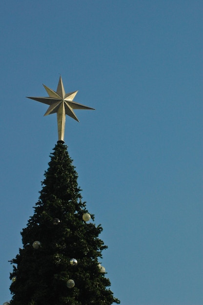 Le sapin de Noël et l'étoile