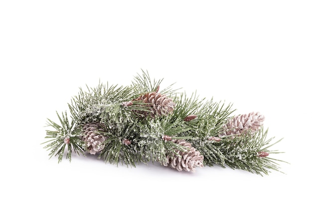 Sapin de Noël isolé sur fond blanc