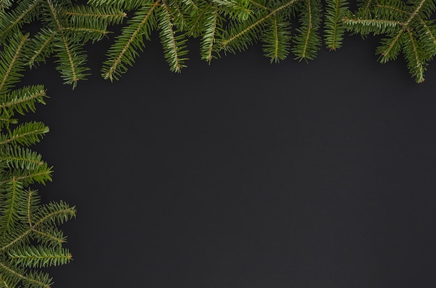 Sapin de Noël isolé sur le fond noir. maquette à plat