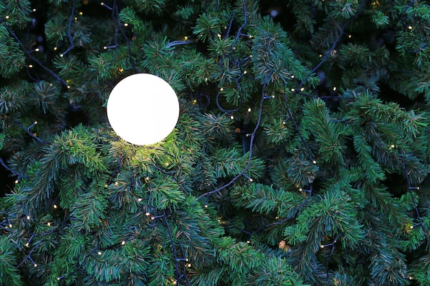 Sapin de Noël avec lumière pour fond de Noël.