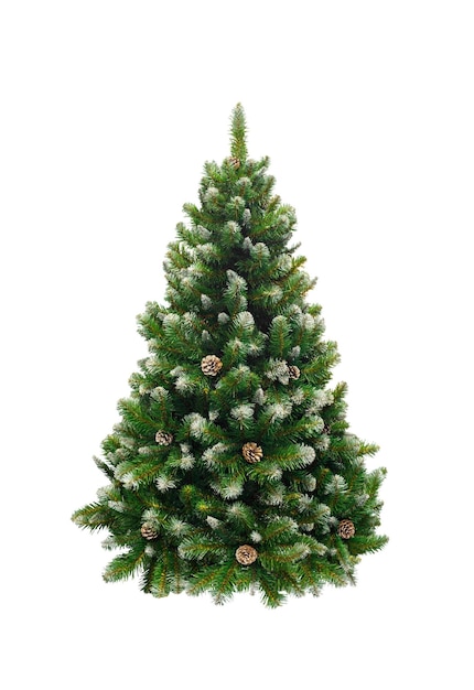 Sapin de Noël pin vert isolé sur gros plan blanc