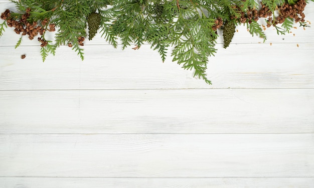 Sapin avec des pommes de pin sur une surface en bois blanche