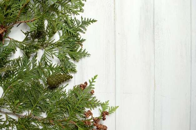 Sapin avec des pommes de pin sur une surface en bois blanche