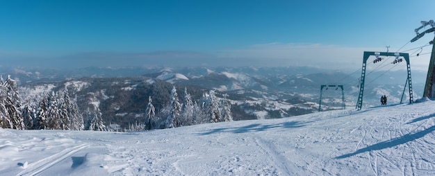 Sapins enneigés sur fond de montagnes en hiver