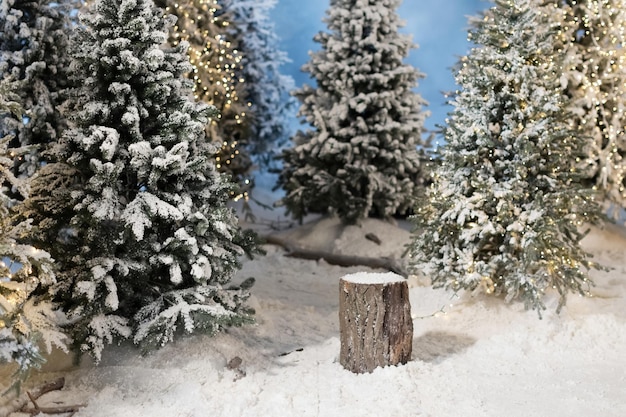 Sapins enneigés d'hiver