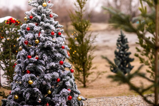 Sapins de Noël décorés pour Noël