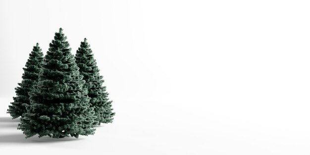 Sapins de Noël isolés sur blanc