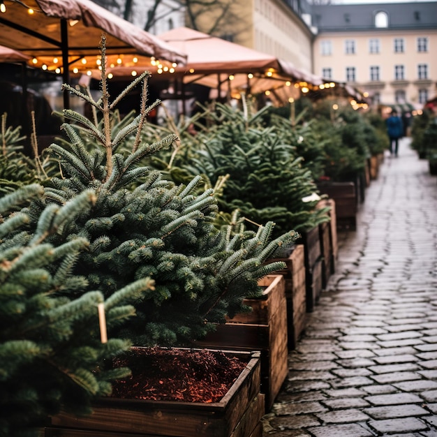 Sapins de Noël à vendre sur un marché en plein air