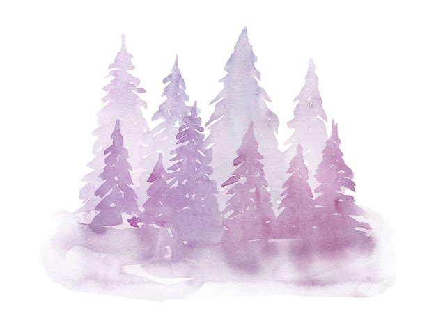 Photo sapins pourpres aquarelle hiver dans le brouillard. dessin à main levée