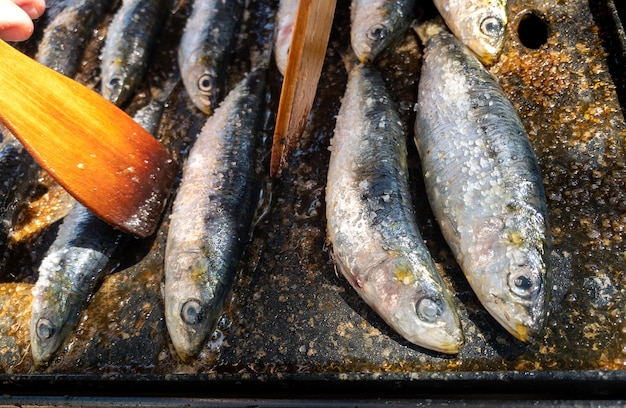 Sardines grillées sur une plaque de grill. Style pilchard espagnol préparé. Chef personnel cuisinant du poisson dans une cuisine de restaurant ouverte. Fruits de mer traditionnels en Espagne.