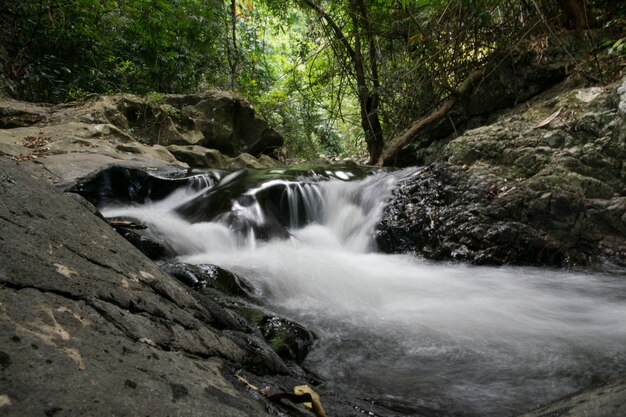 Sarika cascade