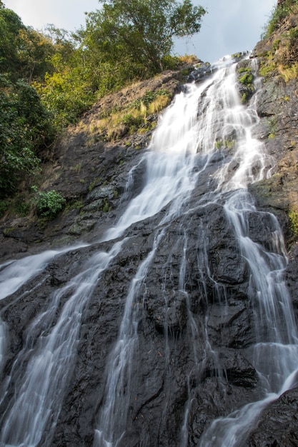 Sarika cascade