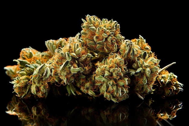 Sativa Symphony Weed photo