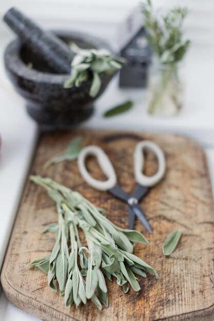 La sauge aromatique laisse des herbes à la cuisine