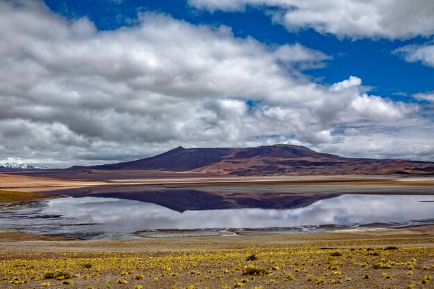 Photo savane du désert d'atacama, paysage de montagnes et de volcans, chili, amérique du sud