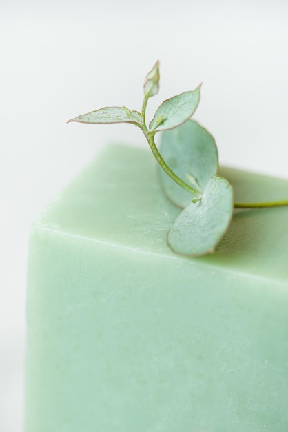 Savon naturel à l'eucalyptus sur fond gris