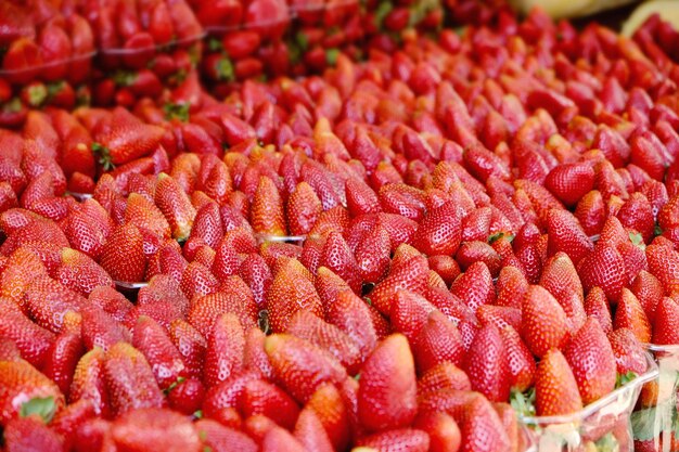 Savoureuse fraise fraîche au gros plan du marché