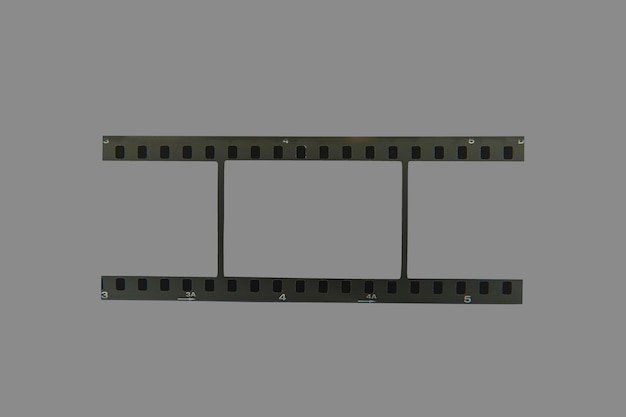 Scan de film 35 mm du négatif sur fond gris