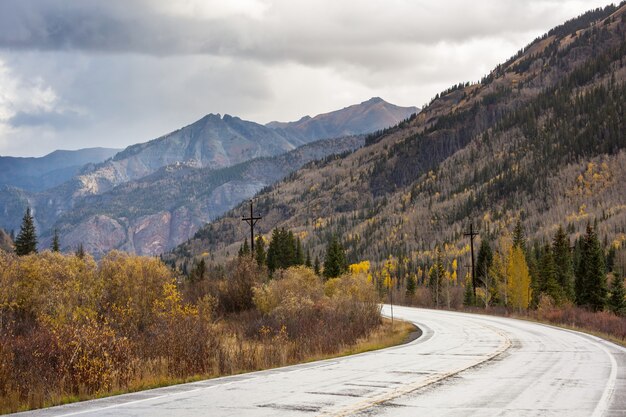 Scène d'automne colorée sur route de campagne dans la matinée ensoleillée