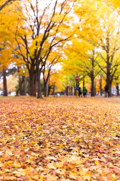 Scène d&#39;automne