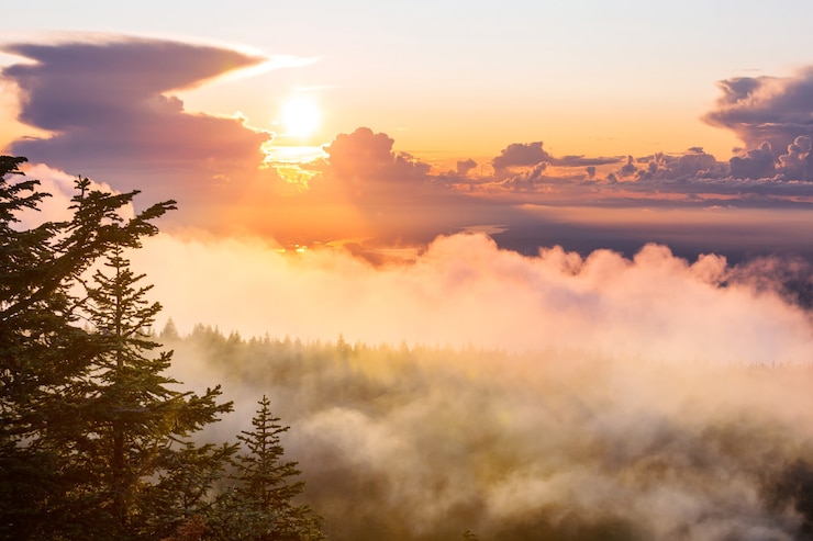 Scène de coucher de soleil au-dessus de la forêt d'automne