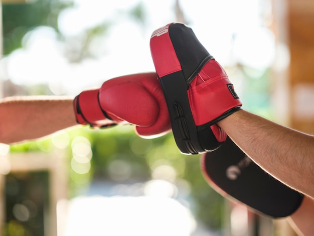 Une scène d'entraînement de boxe