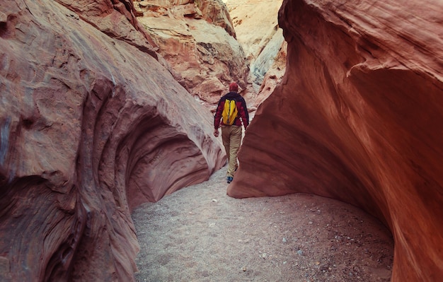 Scène fantastique de Happy Canyon. Les formations de grès colorées inhabituelles dans les déserts de l'Utah sont une destination populaire pour les randonneurs.