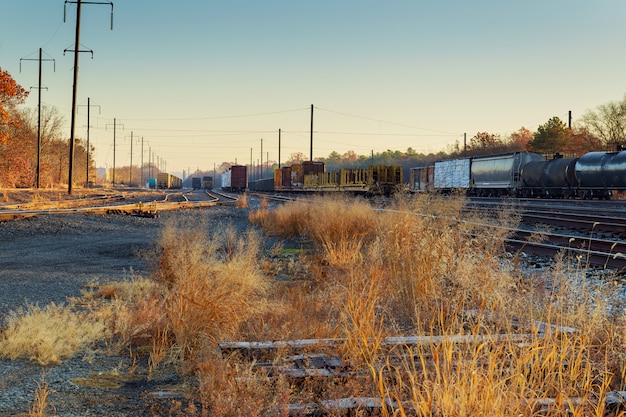 Scène ferroviaire avec train de marchandises