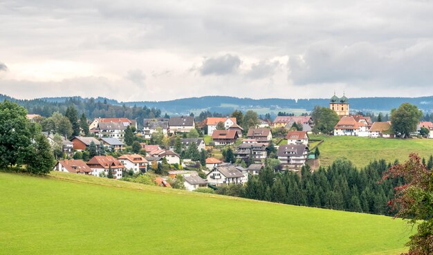 Scène de forêt noire en Allemagne