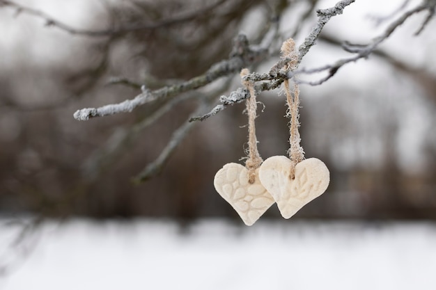 Photo scène d'hiver avec des coeurs suspendus à une branche d'arbre
