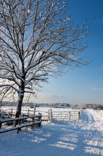 Scène d'hiver à East Grinstead