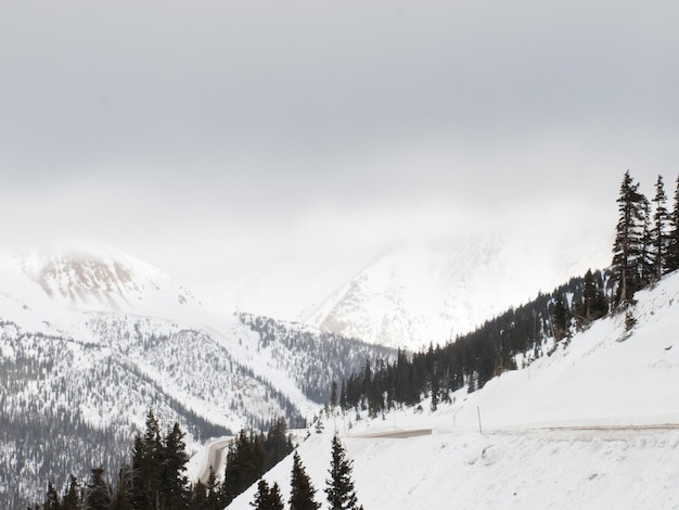 Scène d'hiver enneigée haut dans la montagne. Montagnes Rocheuses du Colorado aux États-Unis.