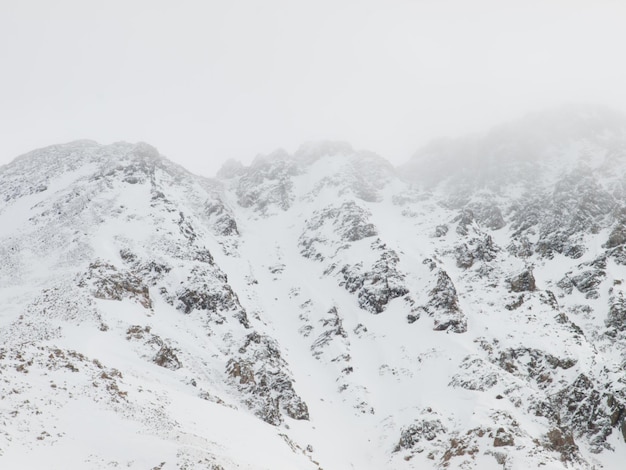 Scène d'hiver enneigée haut dans la montagne. Montagnes Rocheuses du Colorado aux États-Unis.
