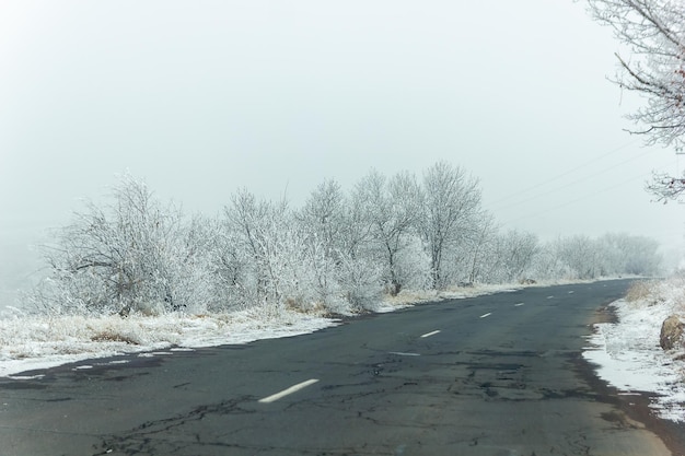 scène d'hiver en hiver seasone arbres avec neige parc de neige