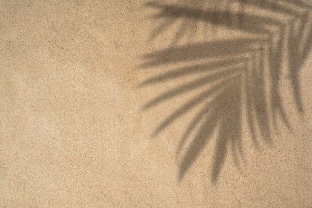 Scène de jour de plage d'été avec des feuilles de palmiers tropicaux ombre sur fond de sable Tropica de lumière du soleil minimale