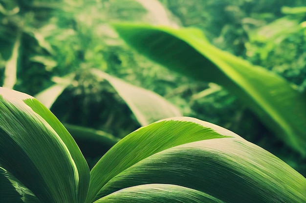 Scène de jungle de palmiers frontière transparente forêt tropicale