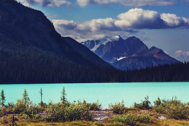 Scène de lac serein au Canada