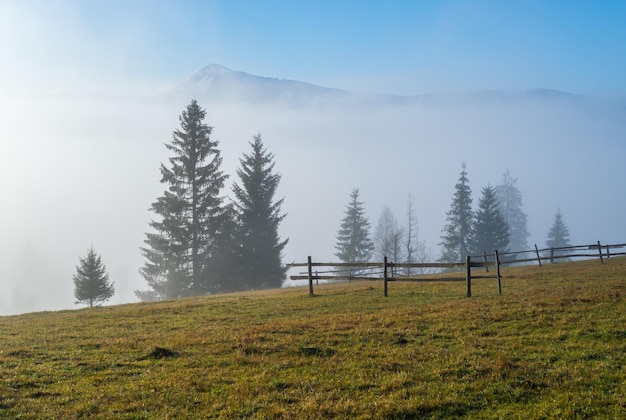 Scène de lever de soleil de montagne d'automne brumeux Paisible pittoresque voyageant scène de concept de beauté de la nature et de la campagne saisonnière