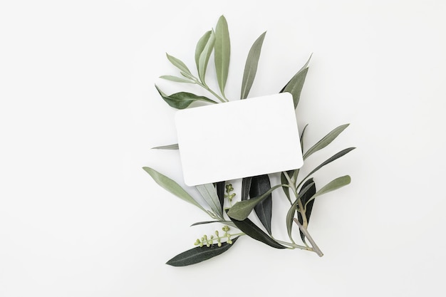 Photo scène de maquette de carte de visite vierge de papeterie d'été carte de voeux horizontale avec branche de feuilles d'olivier vert en fleurs isolée sur fond de tableau blanc vue de dessus plat méditerranéen