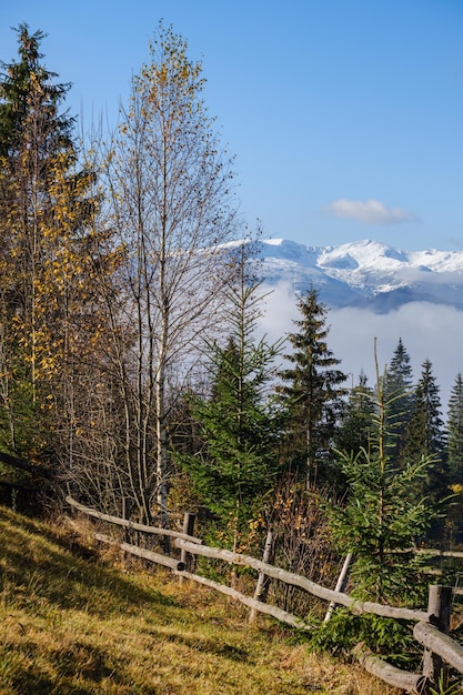 Scène matinale de montagne à la fin de l'automne avec des sommets enneigés dans des nuages lointains et brumeux dans les vallées Scène pittoresque de concept de beauté de la nature et de la campagne saisonnière Carpates Ukraine