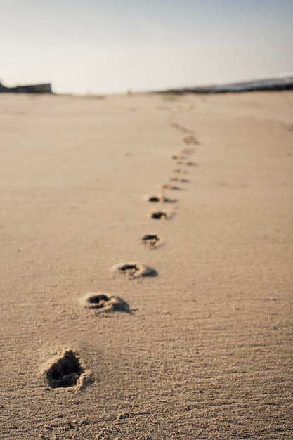 Scène minimaliste d'un ensemble d'empreintes de pieds dans le sable diminuant en arrière-plan